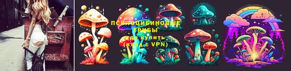 соль курить ск Алзамай