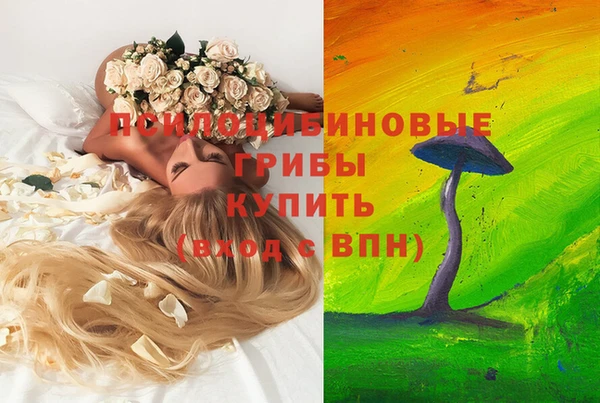 стафф Алексин