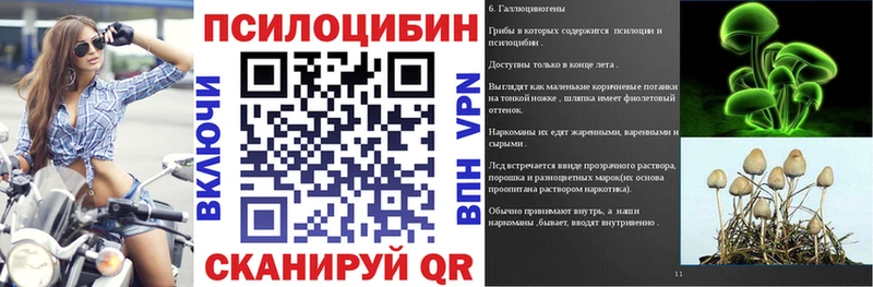 блэк спрут вход  Кириши  Псилоцибиновые грибы мицелий  купить наркотик 