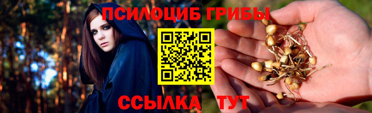Галлюциногенные грибы мицелий Кириши